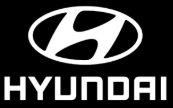 Hyundai Invert1